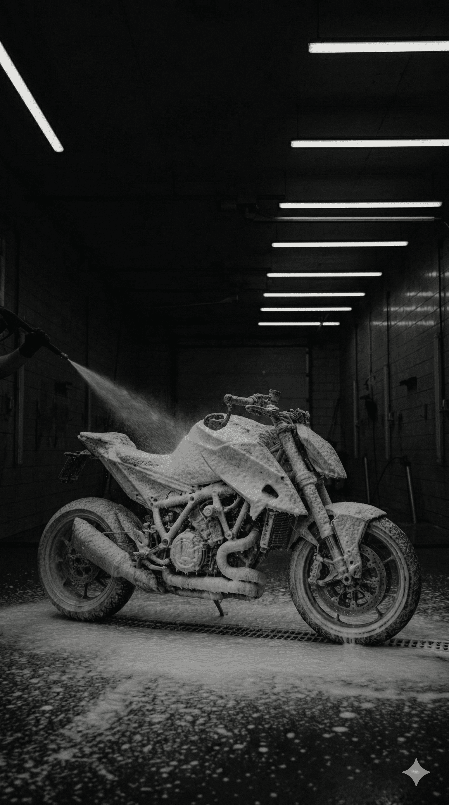 Desengrasado completo